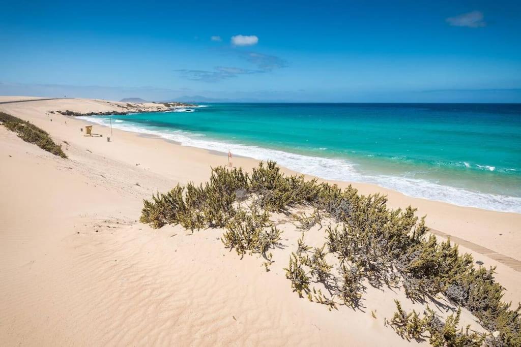 B-Rent Alisios Playa Isla Bonita Apartment Corralejo Ngoại thất bức ảnh